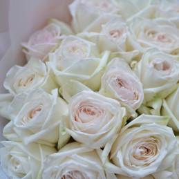 букет роз 'White O'Hara' - Фото 1 