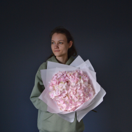 bukiet różowych hortensji - Zdjęcie 1 